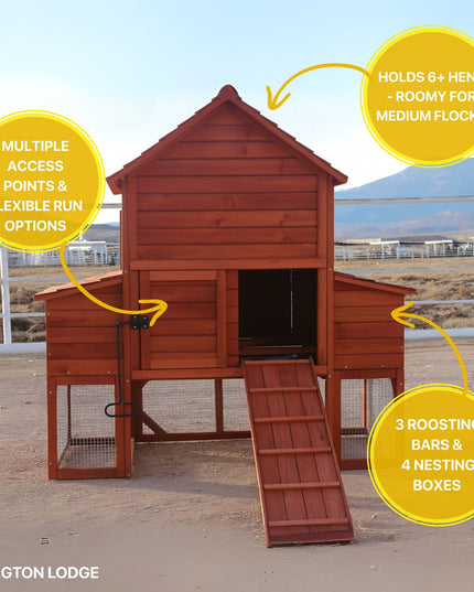 Chicken Coop for 6 Chickens – Orpington Lodge