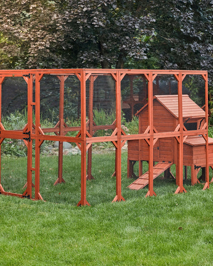 Chicken Coop for 6 Chickens – Orpington Lodge