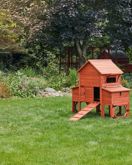 Chicken Coop for 6 Chickens – Orpington Lodge