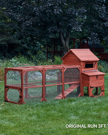 Chicken Coop for 6 Chickens – Orpington Lodge
