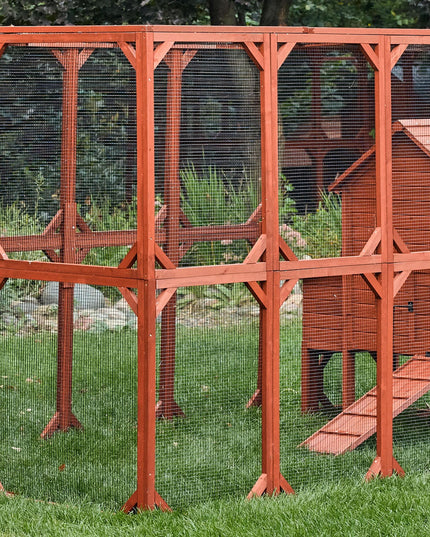 Chicken Coop for 6 Chickens – Orpington Lodge