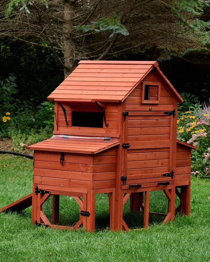 Chicken Coop for 6 Chickens – Orpington Lodge