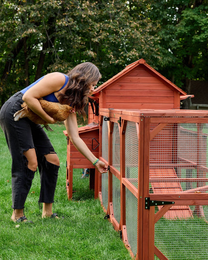 Chicken Coop for 6 Chickens – Orpington Lodge