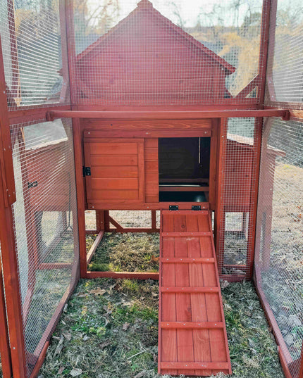 Chicken Coop for 6 Chickens – Orpington Lodge