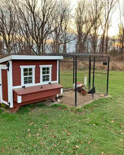 Large Chicken Coop – Houses Up to 15 Chickens