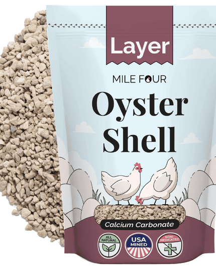Oyster Shell