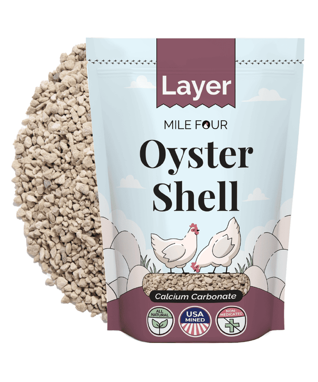 Oyster Shell