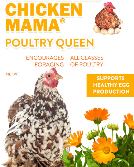 Poultry Queen Mealworm, Premium Corn, Flax Seeds, & Herb Treat For Pet Chickens