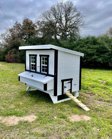 Large Chicken Coop – Houses Up to 15 Chickens