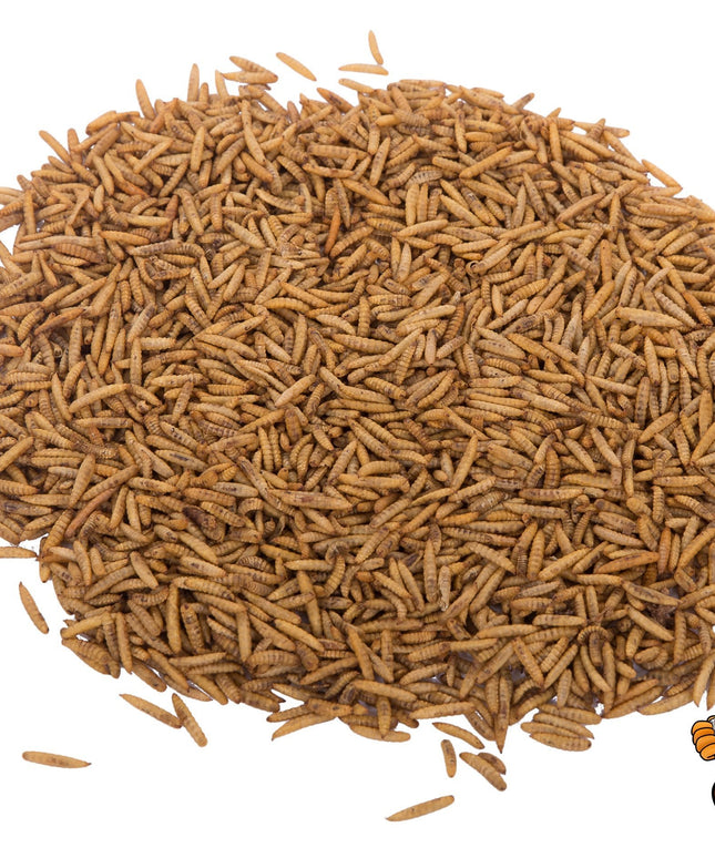 22LB Chubby Dried Black Soldier Fly Larvae