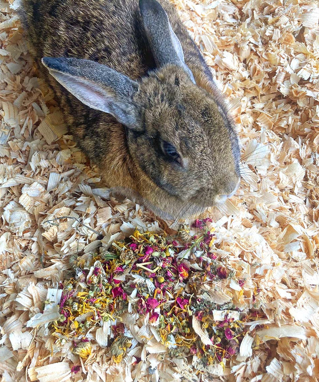 Just The Herbs: Herbal Bedding For Rabbits, Guinea Pigs, Chinchillas, & Hamsters