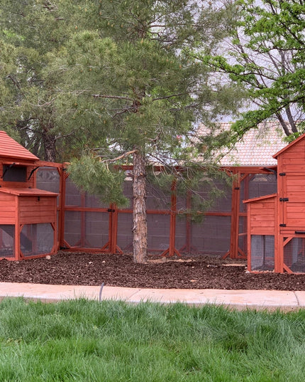 Chicken Coop for 10 Chickens - Rhode Island Homestead (Hen House Only)