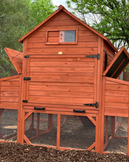 Chicken Coop for 10 Chickens - Rhode Island Homestead (Hen House Only)