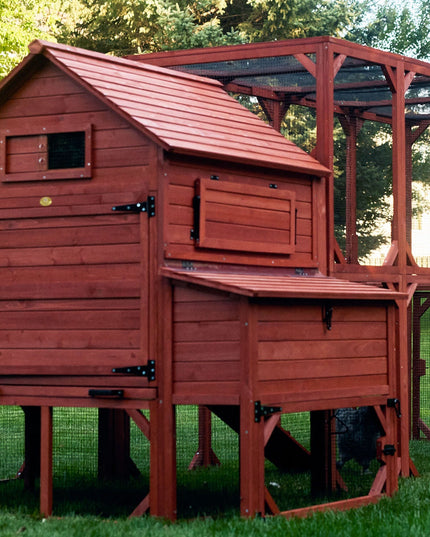 Chicken Coop for 10 Chickens - Rhode Island Homestead (Hen House Only)