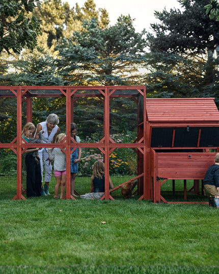 Chicken Coop for 10 Chickens - Rhode Island Homestead (Hen House Only)