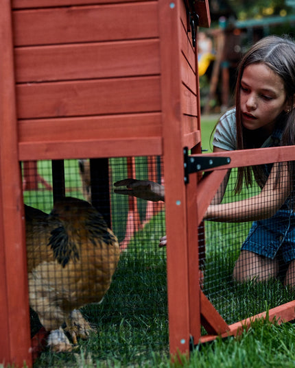 Chicken Coop for 10 Chickens - Rhode Island Homestead (Hen House Only)