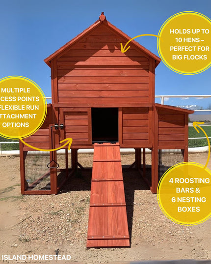 Chicken Coop for 10 Chickens - Rhode Island Homestead (Hen House Only)