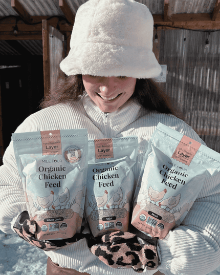 Layer Organic Chicken Feed