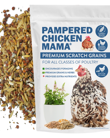 Premium Chicken Scratch With Herbs To Encourage Positive Behaviors
