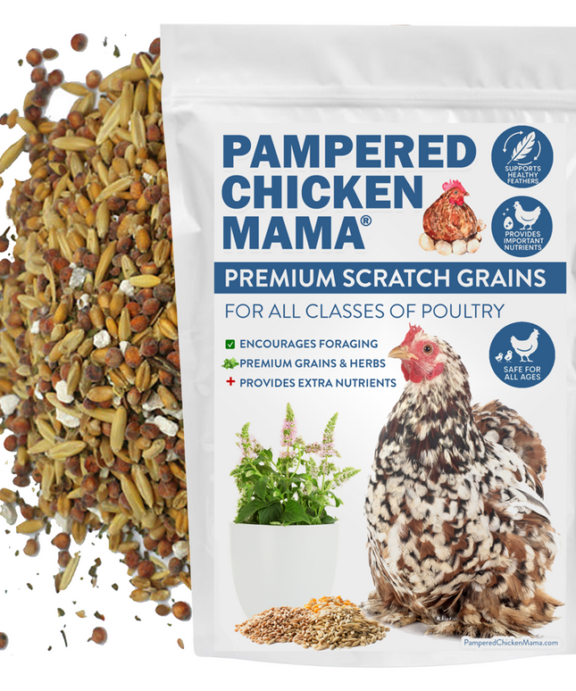 Premium Chicken Scratch With Herbs To Encourage Positive Behaviors