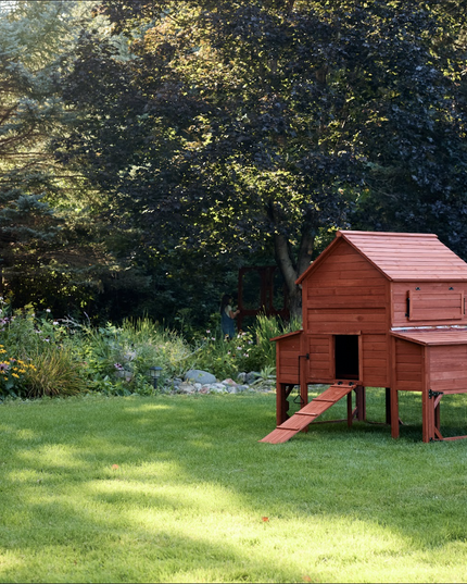 Chicken Coop for 10 Chickens - Rhode Island Homestead (Hen House Only)