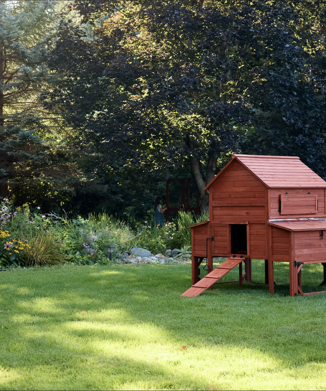 Chicken Coop for 10 Chickens - Rhode Island Homestead (Hen House Only)