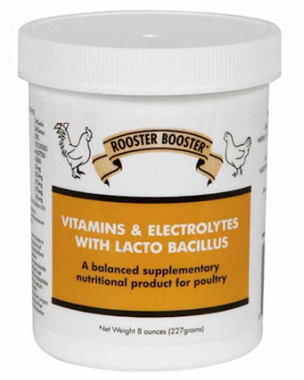 Vitamins & Electrolytes with Lacto Bacillus - Poultry