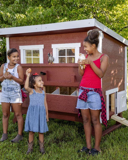 Large Chicken Coop – Houses Up to 15 Chickens