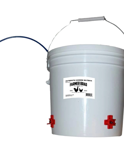 Automatic Chicken Waterer (2 Gallon)