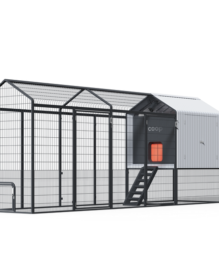 The Smart Coop + Steel Run (+ Free Chicks! 🐣)