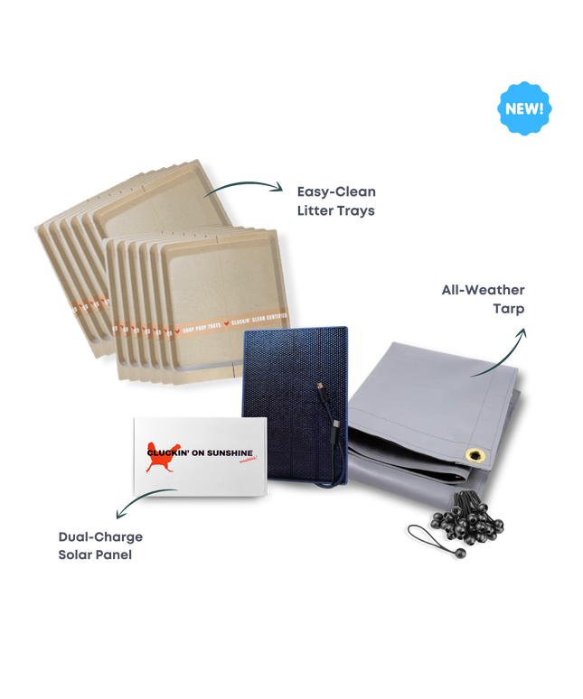 Power + Protect Bundle