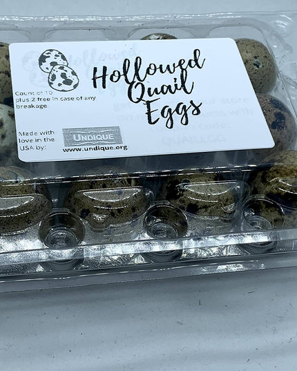 Empty Whole Eggshells Quail Eggs Hollowed - Set of 10 Cleaned Hollow Quail Eggs Perfect for Crafting and Decoration