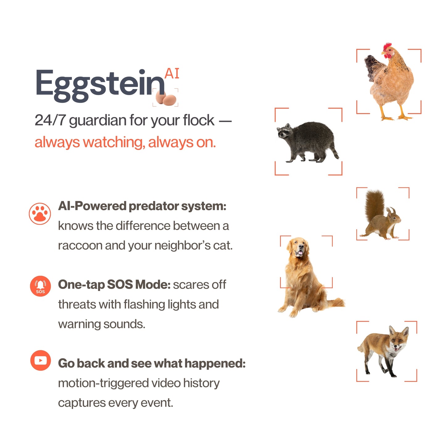 The Smart Coop + Base (+ Free Chicks! 🐣)