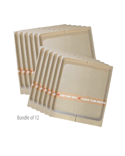 Power + Protect Bundle