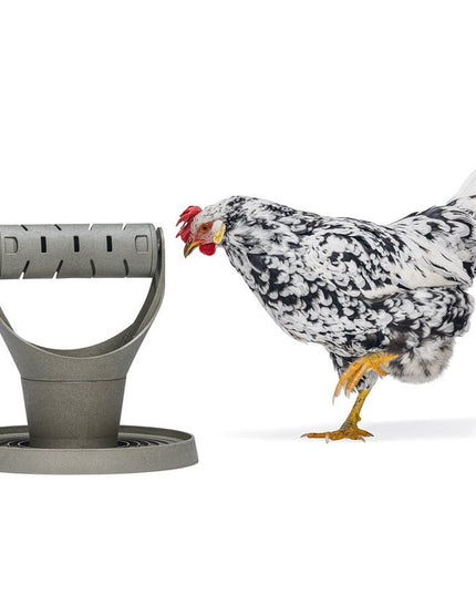 Backyard Chicken Feed Tower – Promotes Exercise and Mental Stimulation