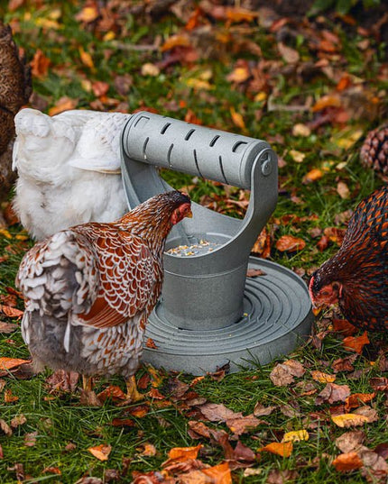 Backyard Chicken Feed Tower – Promotes Exercise and Mental Stimulation