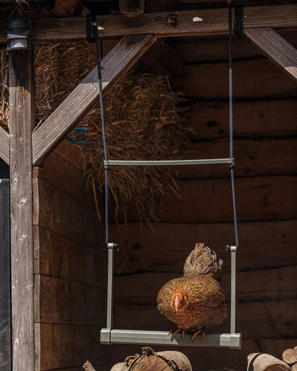 Backyard Chicken Swing – Durable, Recycled Material for Flock Activity