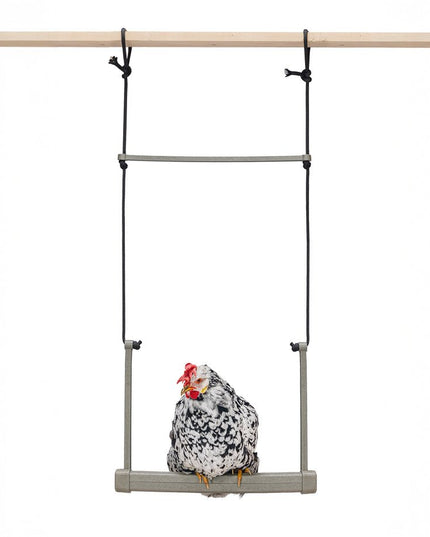 Backyard Chicken Swing – Durable, Recycled Material for Flock Activity