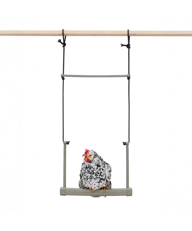 Backyard Chicken Swing – Durable, Recycled Material for Flock Activity