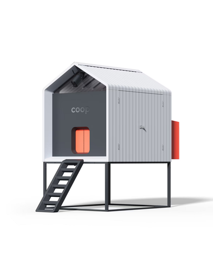 The Smart Coop + Steel Run (+ Free Chicks! 🐣)