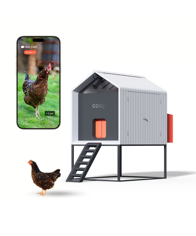 The Smart Coop + Base (+ Free Chicks! 🐣)