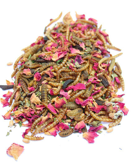BEE A Beautiful Hen Herbal Treat With Mealworms, Wheat, & Rose Petals For Chickens
