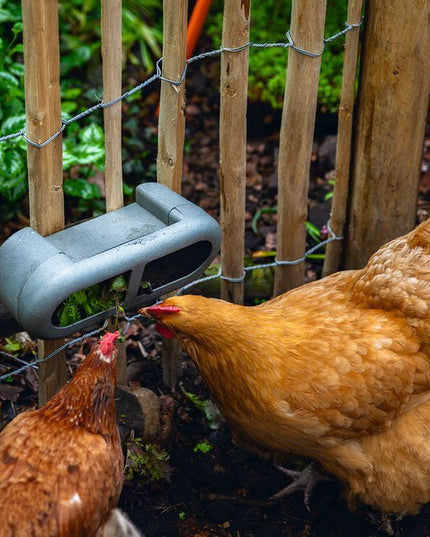 Chicken Feeder with Velcro Attachments – 100% Recycled, Eco-Friendly
