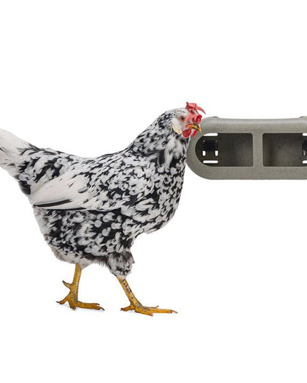 Chicken Feeder with Velcro Attachments – 100% Recycled, Eco-Friendly
