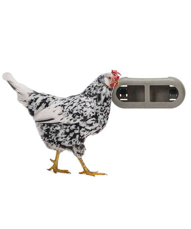 Chicken Feeder with Velcro Attachments – 100% Recycled, Eco-Friendly