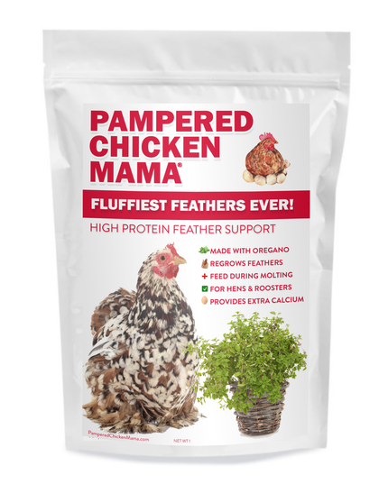 Fluffiest Feathers Ever! Chicken Feed Supplement For Great Feathers