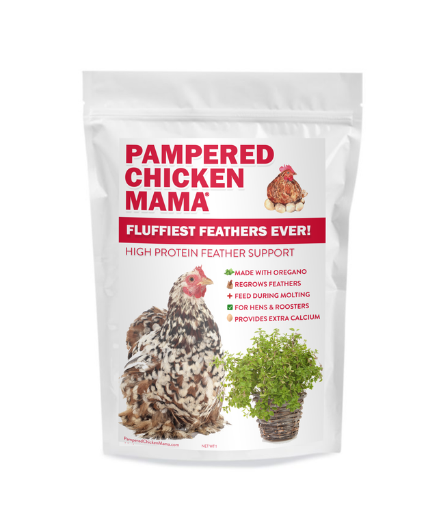 Fluffiest Feathers Ever! Chicken Feed Supplement For Great Feathers