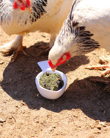 MitesBGone Herbal Blend For Nesting Boxes Or Dust Baths To Repel Mites