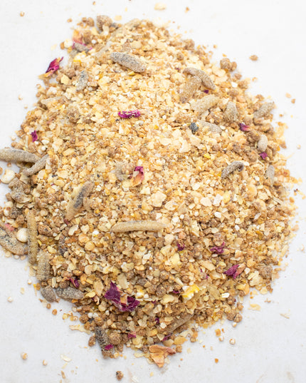 Chickeratti Treat For Baby Chicks