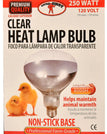 Clear Heat Lamp Bulb (250 Watt)
